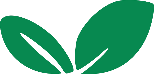 Flexi Vita - A chave para a Reconstrução da Cartilagem